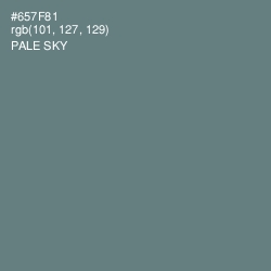 #657F81 - Pale Sky Color Image